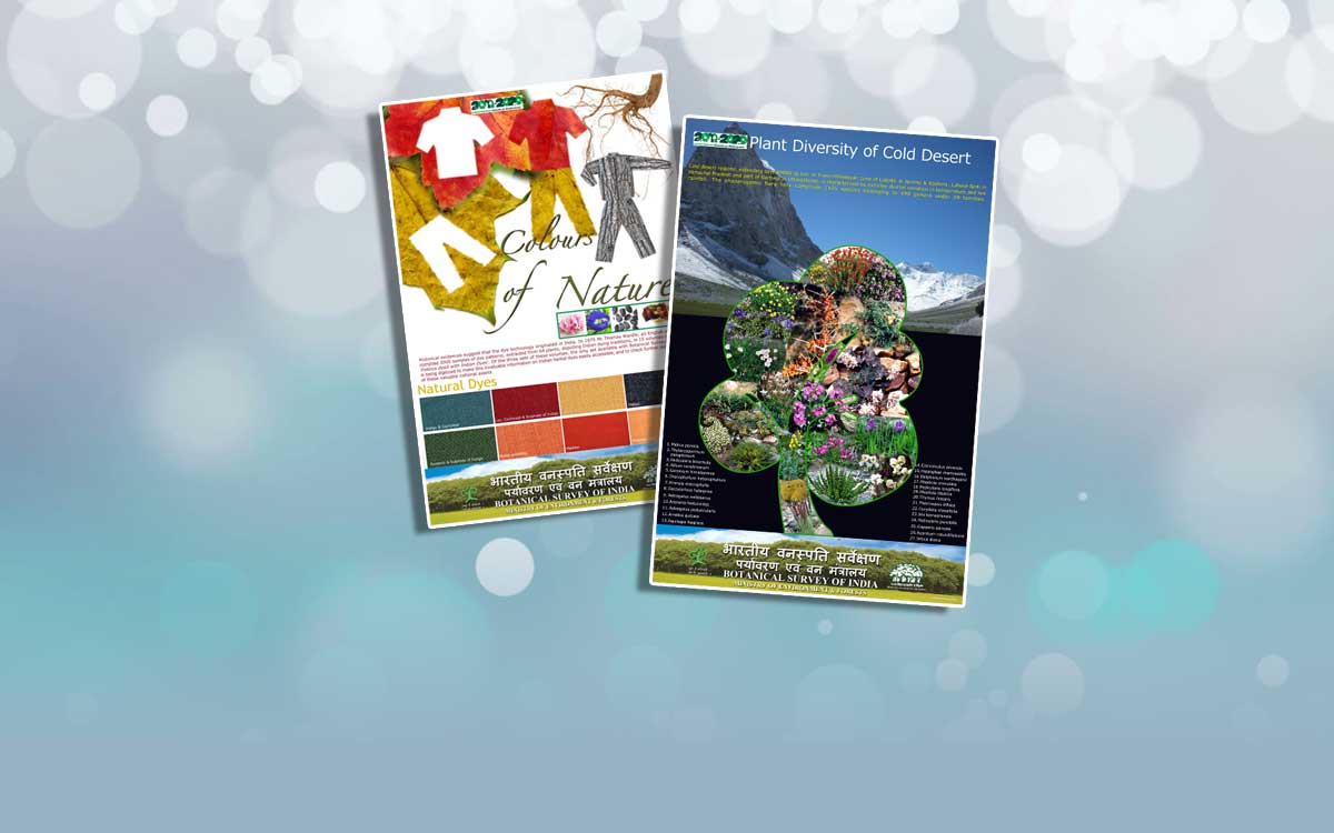 Poster Designs