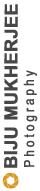 logo-mini